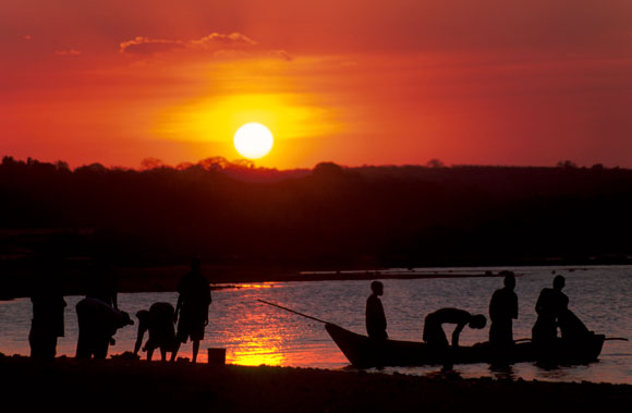 Selling Fish in the Twilight